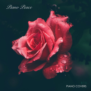 草逼黄片一级片
